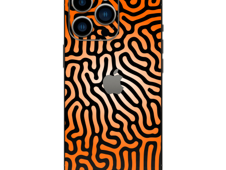 iPhone 13 Pro MAX SIGNATURE Labyrinth Skin For Cheap